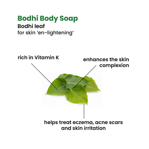 Photo of Bodhi Body Soap (wooden soap dish included) 2
