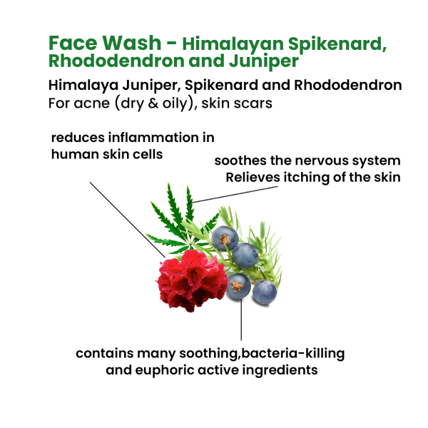 Facewash - Himalayan Spikenard, Rhododendron, and Juniper (wooden soap dish included) - Image 2